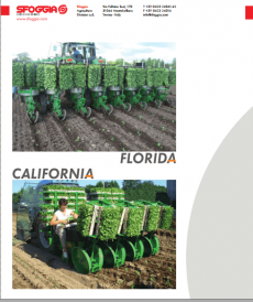 Sfoggia Florida Transplanter PDF