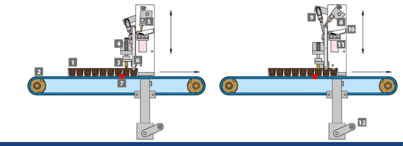 Urbinati Row Seeding System Electronic