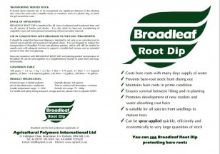 Broadleaf Root Dip